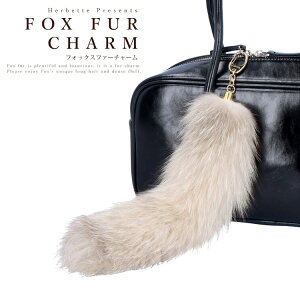 Lcl̃Vb| L[z_[ `[ tHbNX t@[ A  ANZT[ K t@[`[ | TXeiu AbvTCN CN nEB RXv є fB