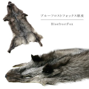 u[tXgtHbNX t@[  t {A  tHbNX Vo[tHbNX u[tHbNX GNXe i`J[ nM  fB[X Mtg v[g