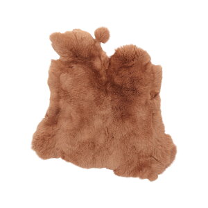 y1z bLXrbg t@[ ͂ nM [؂ At@[ ӂӂ bLX rbg є nhCh pb`[N nhNtg CeA fB[X Y v[