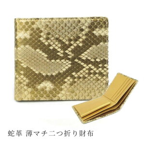 yKtz ܂z ֊v v 4453 pC\ U[ JE jVLwr { z X S[h F J^  {v GL]`bNU[ Mtg v[g 