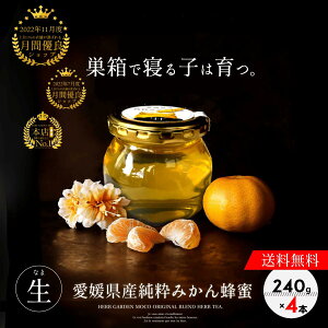 yzY ݂݂͂ 240g×4{Zbg ݂͂ Y M I ݂͂ ݂͂ n`~c ݂I ݂n`~c  I ݂͂ M NHi v[