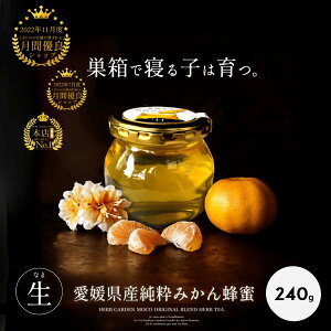 Y ݂݂͂ 240g@ ݂͂ Y M I ݂͂ ݂͂ n`~c ݂I ݂n`~c  I ݂͂ NHi v[g  XC[c