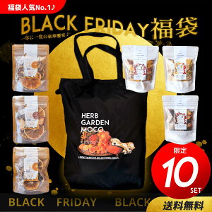 yՌ2750~OFFIz_BLACKFRIDAY܁^@ɂ̈t×t[ceB[(QK̎̃x[eB[EQƉуeB[EQƒ֓eB[e1܁j@2025Ny|GRobNz