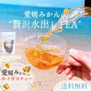 【水出し】愛媛みかんのルイボスティー4g×5個入 ルイボスティー 水出し 有機 ルイボス ハーブティー 紅茶　ティーバッグ 妊婦 授乳中 オーガニック ティーパック 水出し アイスティー ノンカフェイン