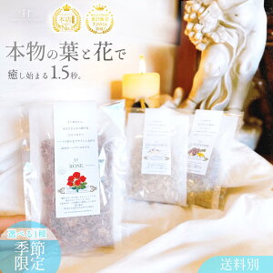  3킩Iׂ1Zbg ( [Y J~[ x_[) n[u Y [Y J~[ x_[ ґ C  v[g G