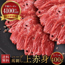 【半額4100円クーポン】 馬刺し 上赤身 400g 6～8人前 馬肉 ギフト あす楽 送料無料 ギフト 馬肉 ブロック 馬刺し 霜降り 赤身 グルメ ギフト 馬刺し プレゼント 肉 馬肉 霜降り ギフト 馬肉 赤身 馬刺し 健康 母の日 プレゼント おつまみ 馬刺し 赤身 小分け