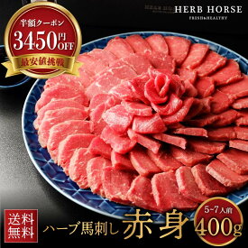 【お試し400gが6900円⇒3450円半額クーポン】 馬刺し 赤身 400g お試し 肉 馬肉 プレゼント 馬肉お試し 馬肉赤身 あす楽 馬肉 ブロック 馬刺 赤身 小分け グルメ 食品 ブロック プレゼント 母の日 馬刺し 父の日 プレゼント 誕生日 肉 ギフト お試し 肉 ギフト 送料無料