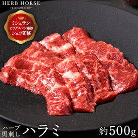 馬刺し ハラミ （約500g） お歳暮 冬ギフト 馬肉 専門店 馬刺 新鮮 おいしい 柔らかい 冷凍 真空パック 個包装 ヘルシー 低カロリー 高タンパク 肉 生肉 家飲み 通販 お取り寄せ ギフト 贈答用 御歳暮 ギフトボックス のし 高級