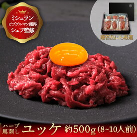 馬刺し ユッケ 約500g さくらユッケ ユッケ肉 ギフト 肉ユッケ 馬肉 ユッケ 専門店 馬刺 肉 酒 つまみ 父親 ギフト 贈答用 御歳暮 馬肉ユッケ 生ユッケ 桜ユッケ お取り寄せグルメ ばさし 父の日 プレゼント 母の日 贈り物