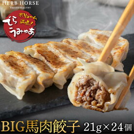 【珍肉餃子】馬肉 餃子 24個 無添加 ヘルシー 冷凍餃子 肉餃子 ギフト 母の日 健康 体にいい餃子 お取り寄せ ヘルシー餃子 おうち餃子 ギフト 点心 中華 肉餃子 ぎょうざ 冷凍餃子 ギョーザ 馬肉 専門店 ヘルシー 低カロリー 肉 アウトドアグルメ