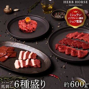 y{[_z nh Mtg 6 600g nhݖ n Mtg nh Ԑg bP o[ Hה O Mtg  nh  e ܂ ̓ Mtg N ̓ v