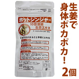 ylR|XzIƃWW[GLX̃_up[I@zbgWW[@2