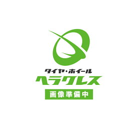 RTGメッキホイール　19.5インチ×6.75(136)　6穴/285 JIS規格　フロント用