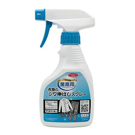 アイメディア しわ伸ばしスプレー 洗濯洗剤 シワ取り 消臭スプレー 250ml 日本製 無香料 衣類用 ワイシャツ 業務用 抗菌 防臭 送料無料