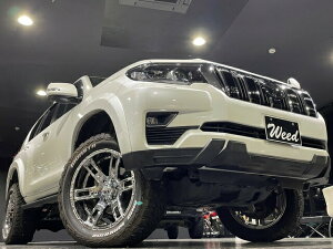 MCLIMBIWi 150hN[U[vh p{fBLbg(h) 4_SZbg E^ ZbgiI