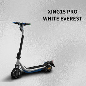 Everest XING 15 PRO エベレストホワイト■性能等確認認可済み 特定小型原動機付自転車