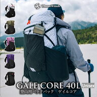【正規代理店】バックパック 登山 40L +10L サウスウィンズ メンズ レディース リュック 登山 ザック ア…