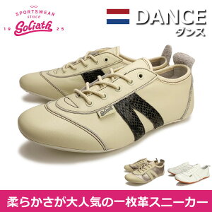 fB[X ꖇv Xj[J[ Dance _X goliath SCAX ʋ ʊw s ^E[X 