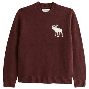 アバクロンビー＆フィッチ(Abercrombie＆Fitch) メンズセーター  