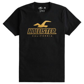 【並行輸入品】【メール便送料無料】ホリスター メンズ Tシャツ ( 半袖 / スポーツニット ) Hollister Sport Knit Logo Graphic Tee (ブラック) 【tシャツ tシャツ 】