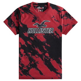【並行輸入品】【メール便送料無料】ホリスター メンズ Tシャツ ( 半袖 ) Hollister Sport Knit Logo Graphic Tee (レッド) 【tシャツ tシャツ スポーツニット 】
