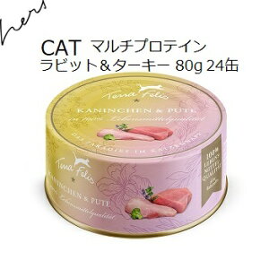 eJjX TerraFelis etFX }`veC rbg^[L[ 80gx24