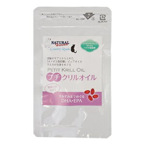 i`n[xXg v`NIC 30 JvZ^Cv ܖ2027.03yyΉzyHLS_DUz