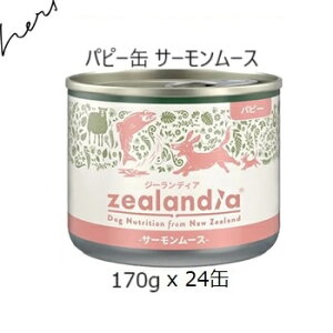 W[fBA ps[ T[[X 170g x24 +`L[X170g