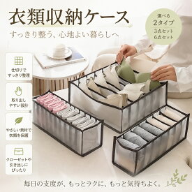 メッシュ 靴下収納ボックス 下着収納 ショーツ収納 引き出し 仕切り付き 衣類整理 クローゼット 家庭用 3点セット 6点セット 通気性 小物整理