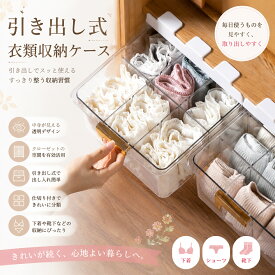 引き出し式 下着収納ボックス 仕切り付き 透明 ソックス ショーツ ブラジャー 衣類整理 クローゼット 収納 省スペース 大容量 通気性 清潔 家庭用