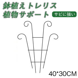 2点目半額OFF！鉢植えトレリス つる性植物用ガーデントレリス 植物クライミングラック 花のサポート 誘引 庭 ベランダ 植木鉢 玄関 園芸 ガーデン
