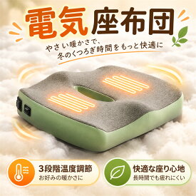 座椅子 ヒータークッション 座布団 暖房クッション オフィス 椅子 膝下 パソコン 女性 保温 電気クッション USB 足元 冷え性 デスクワーク