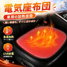 車用 シート ヒーター 毛布タイプ モコモコ カー 座席暖房 ドライブ 冬 USB クッション あったか お尻 ヒートシート 車内