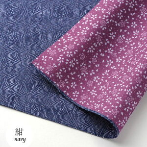 y9/2-9/11Z[艿iz C~ o[Vu  LE 90cm { ӂ낵 { C~ ӂ낵 tVL