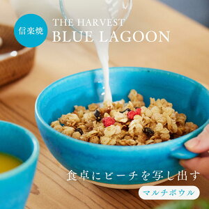 yP10{z}`{E(15.5cm) u[O[  u[ VA H H M  My  JtF fU[g l ꐶ _ {E H dqWgp Mtg bsO 