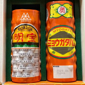 【P10倍】〈明宝・明方〉郡上のハム食べ比べ2本セット 詰め合わせ お取り寄せ ギフト プレゼント ギフト 秘密のケンミンSHOW