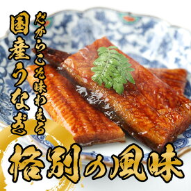 うなぎ 国産 蒲焼セット 60gx3 / 80gx3 2-3人前 愛知県産 鰻 ウナギ カット 京料理六盛 ギフト プレゼント 手土産 土産 お取り寄せ 御礼 送料無料