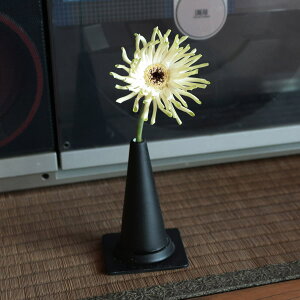 ygāzBARBAR CONE  ֑} L Mtg bsO v[g