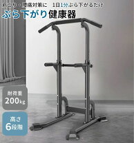 楽天市場】トータルフィットネス 懸垂マシンiii stm056の通販