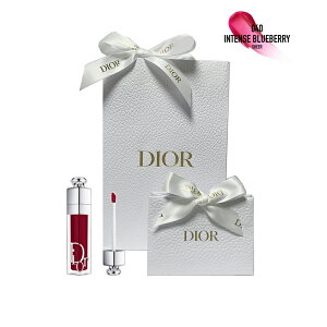 Ki NX`fBI[ fBI[ AfBNg bv}LV}CU[ # 040 CeX u[x[ bsO ς