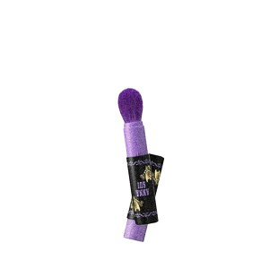 2026/2/1 �����@ANNA SUI/�A�i�X�C �|�P�b�g�@�u���b�V�� �u���V