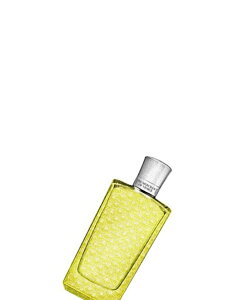 yKiz The Merchant of VeniceiFjX̏lj I[hpt@@mr@I@RjA@FlcBA?i@100mL^I[hpt@