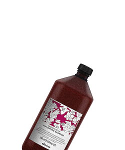 【国内正規品】 ダヴィネス(Davines) ナチュラルテック シャンプー<RP> プロ 1000mL/シャンプー(専用ポンプ付)