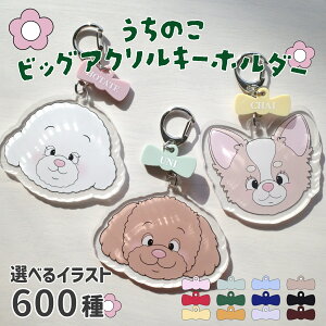  AN L[z_[  ybg ̎qObY ` v[h ViEU[ }`[Y rW V[Y[  _bNX ps yLj[Y [L[ R[M[ VFeB pO