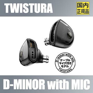 TWISTURA D-MINORy}CNtfz LCz 10mm\[rORCjbg 0.78mm2pin 3.5mmvO E P[u USB Type-C ^CvCϊA_v^t C[j^[ tB^[3
