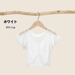  oG gbvX bV { I^[h̏ɒ ̎q EH[Abv oGpi  WjA gbvX o[i [΍ op K ̑ K u[ 