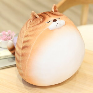   lR ʂ  Q ی` 30/50/70cm NbV ObY CeA q   Aj} w  \t@[ fXN ӂӂŖ _炩 