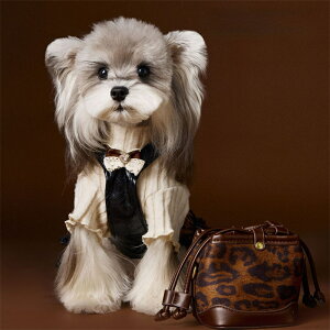  ybg 1.5`11kg s[X  L H ~ t  Jo[ Ȃ hbOEFA {t  t  qE U[  ybgEGA  ˂ 