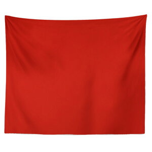  wiz 150cmx130cm ^yXg[ n wiV[g  i` Bepwiz X^WIwiXN[V[g ʐ^ ډB wiz Be  O   CeA yVCO