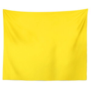  wiz 150cmx130cm ^yXg[ n wiV[g  i` Bepwiz X^WIwiXN[V[g ʐ^ ډB wiz Be  O   CeA yVCO